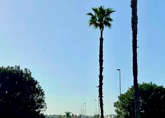 Miramar Vibez Apartment