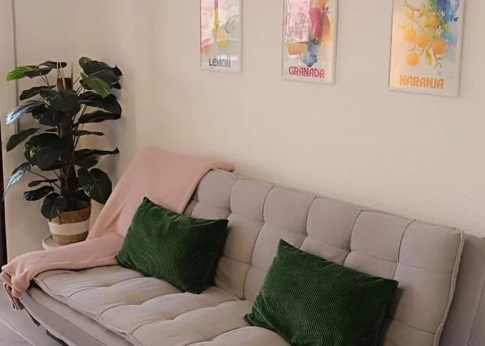 Miramar Vibez Torrevieja