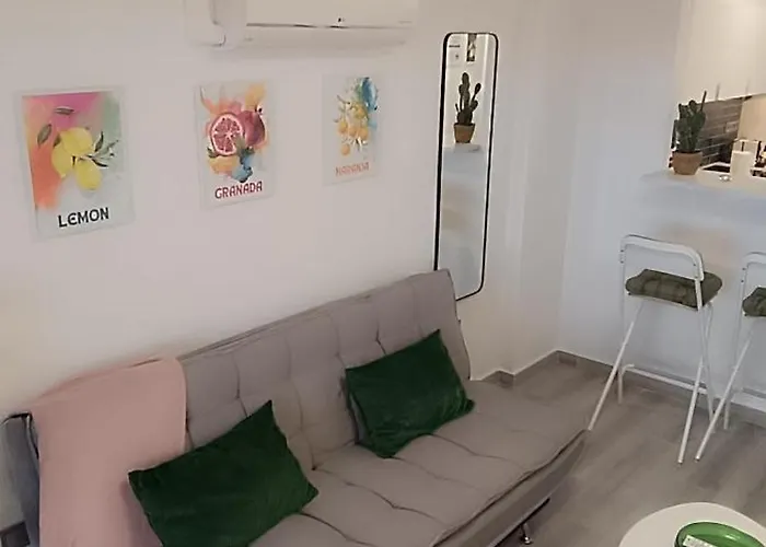 Apartment Miramar Vibez