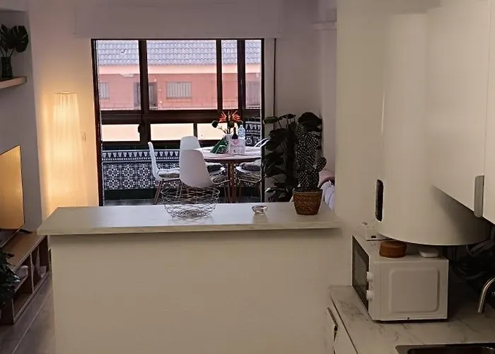 Apartment Miramar Vibez