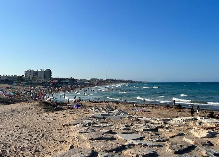 Apartment Miramar Vibez